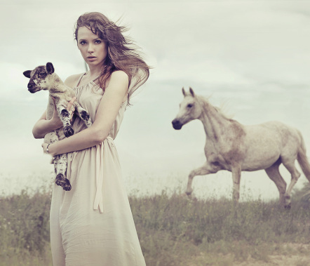 Lady and Horses